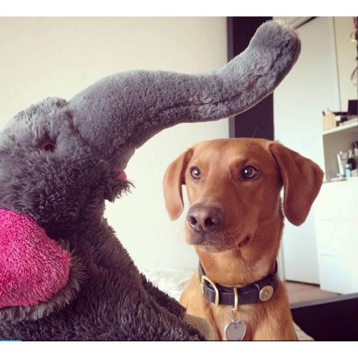 Fluff &amp; Tuff Edsel Elephant Dog Toy