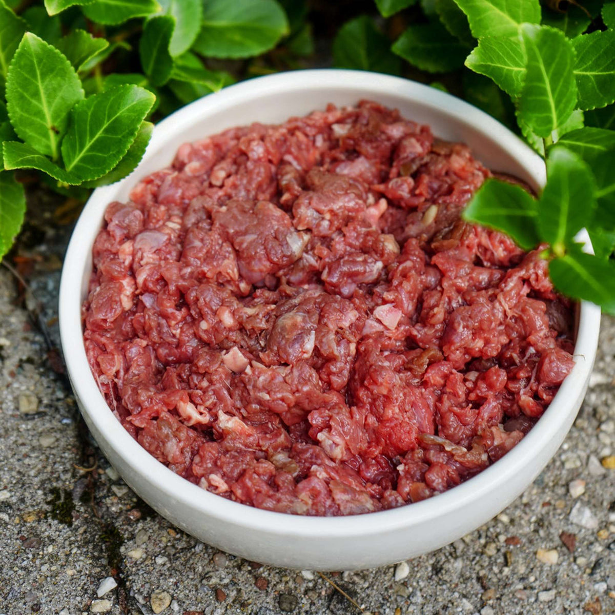 Oma&#39;s Pride Frozen Raw Ground Venison for Dogs &amp; Cats