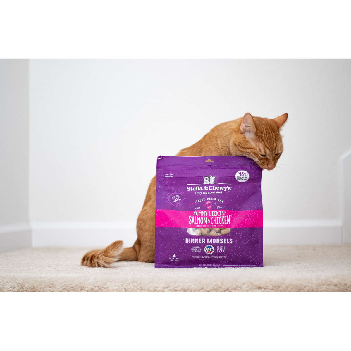 Stella &amp; Chewy&#39;s Freeze-Dried Raw Yummy Lickin Salmon &amp; Chicken Dinner Morsels Cat Food