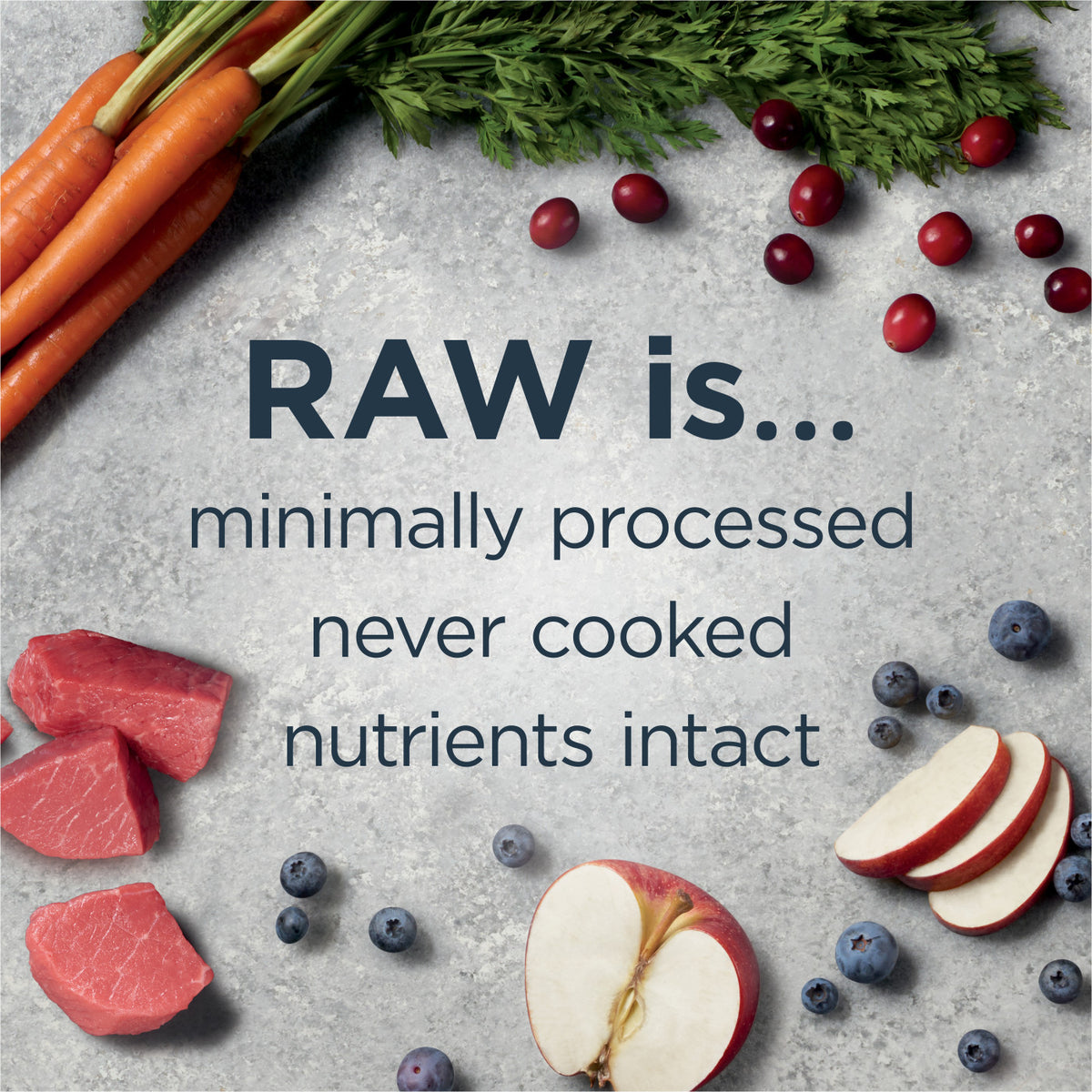 Instinct Raw Boost Whole Grain Real Beef &amp; Barley Recipe Dry Dog Food
