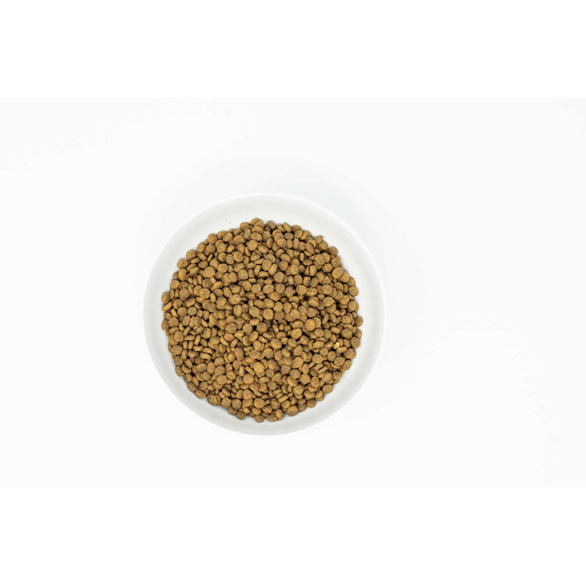 Stella &amp; Chewy&#39;s Kibble Raw Coated Salmon Cat Food