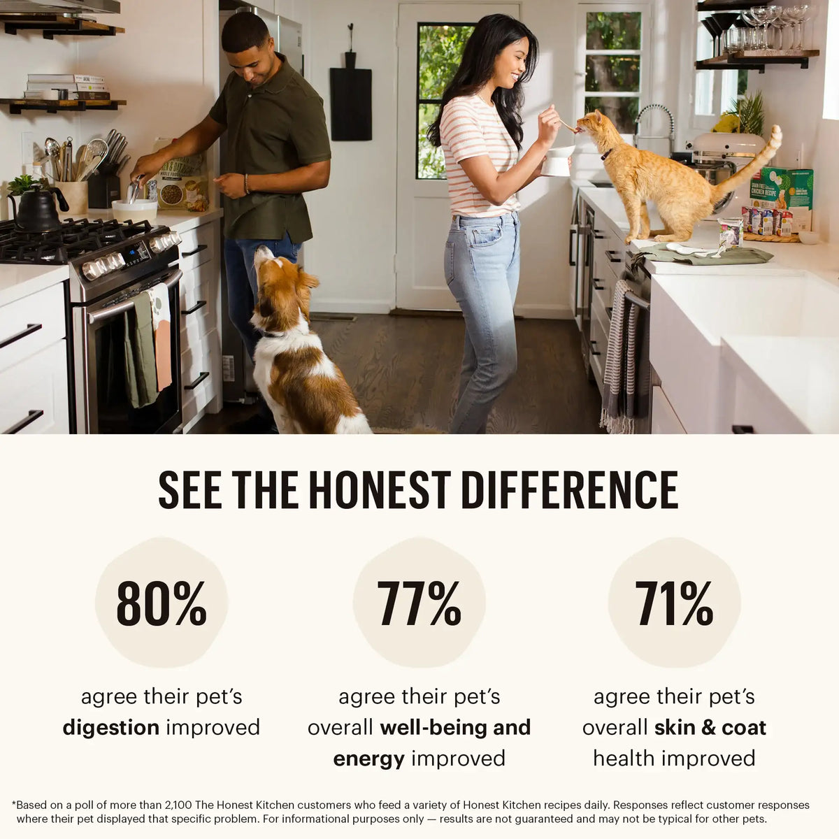 The Honest Kitchen Grain Free Minced Turkey, Chicken &amp; Duck Cat Food