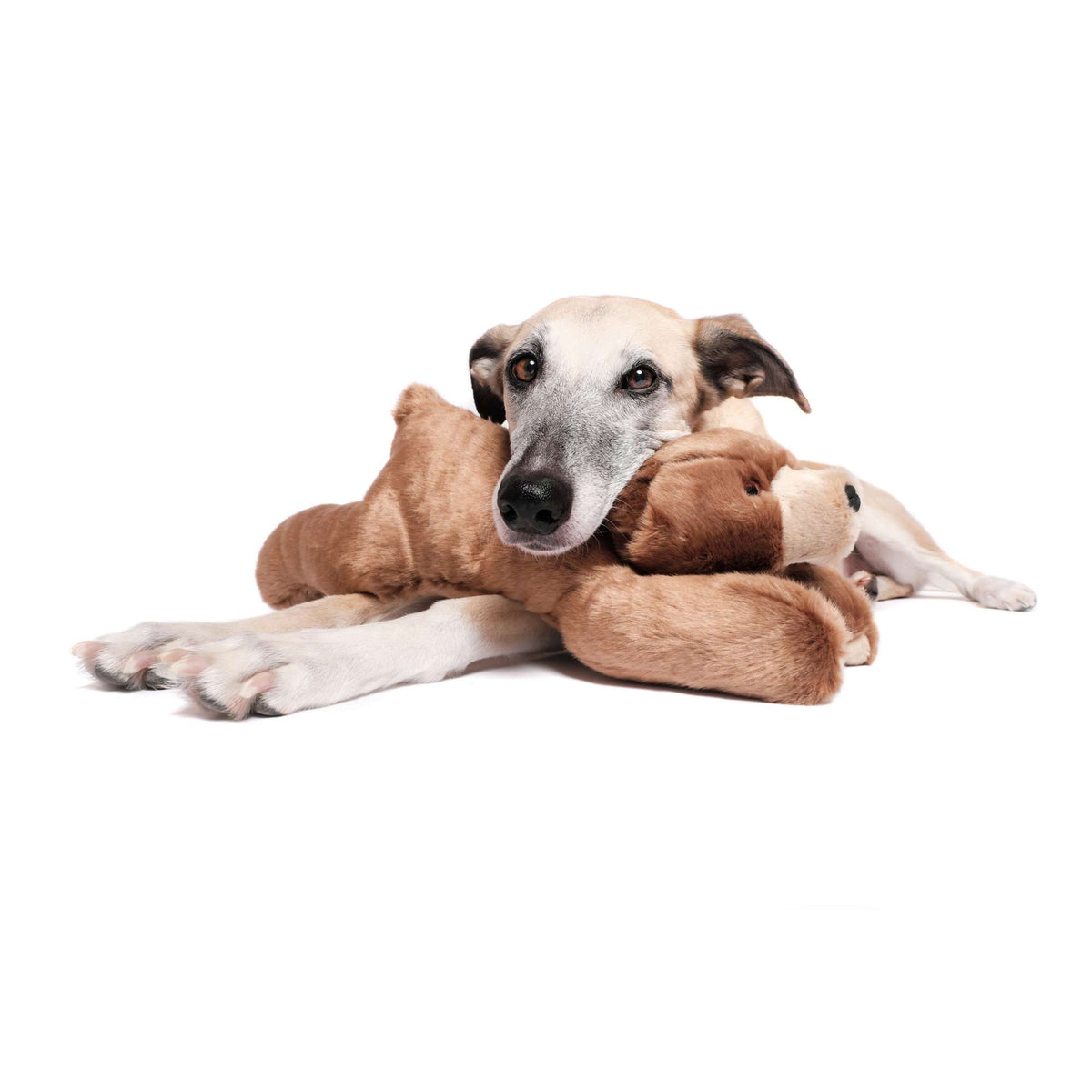 Fluff &amp; Tuff Sadie Bear Dog Toy