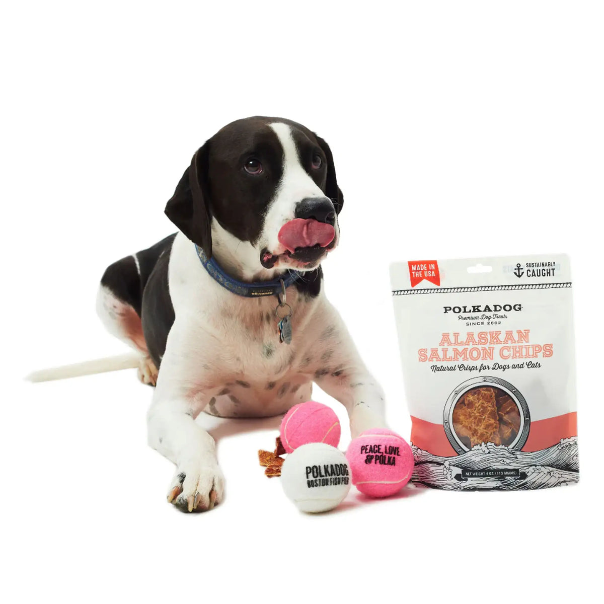 Polkadog Bakery Alaskan Salmon Chip Dog &amp; Cat Treats