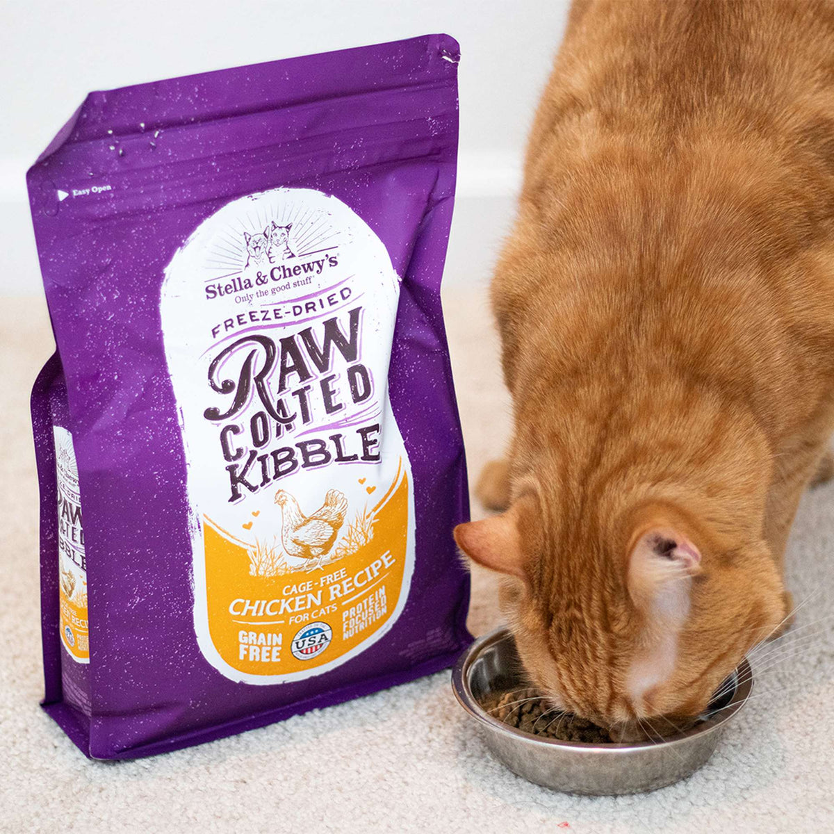 Stella &amp; Chewy&#39;s Kibble Raw Coated Chicken Cat Food