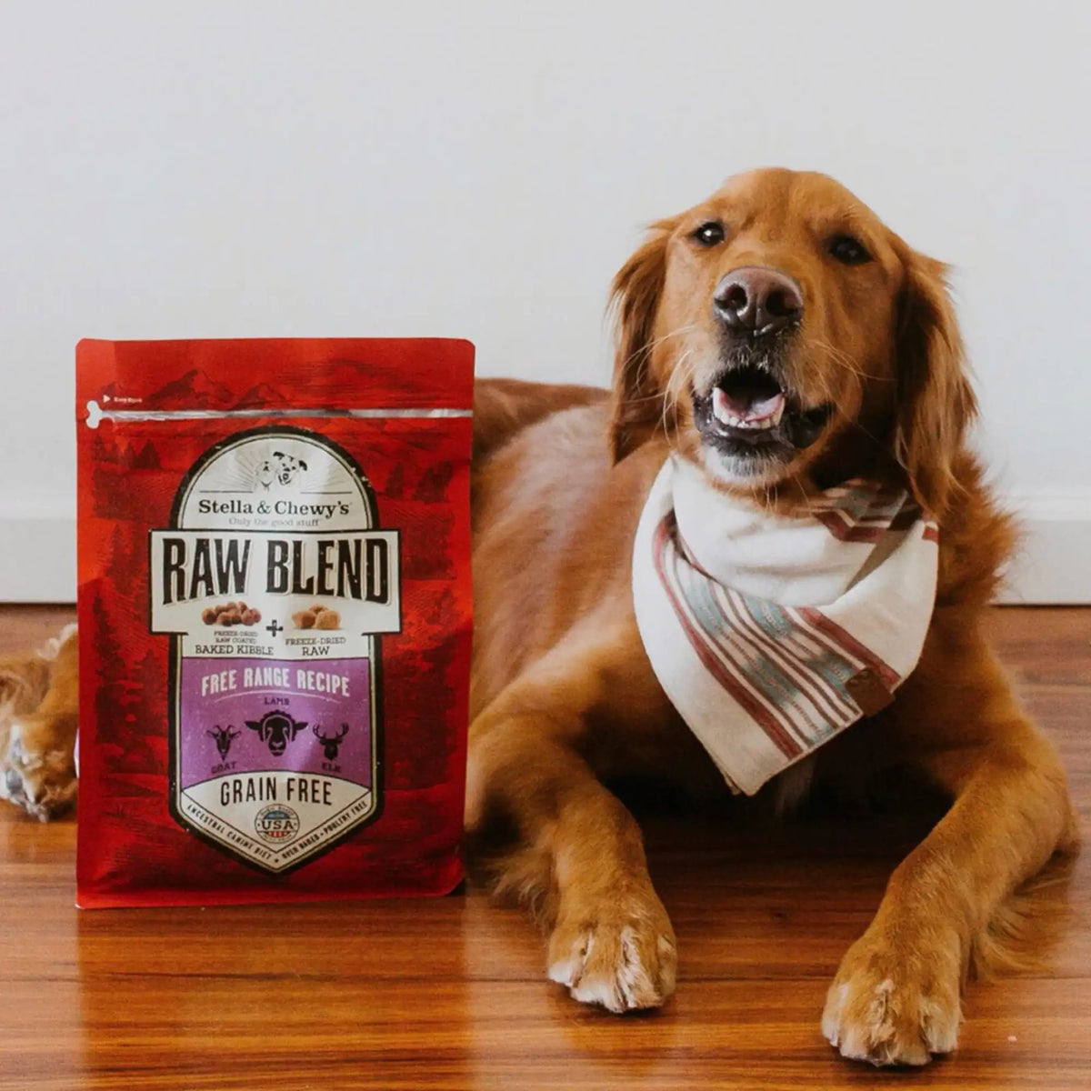 Stella &amp; Chewy&#39;s Kibble Raw Blend Free Range Lamb Dog Food