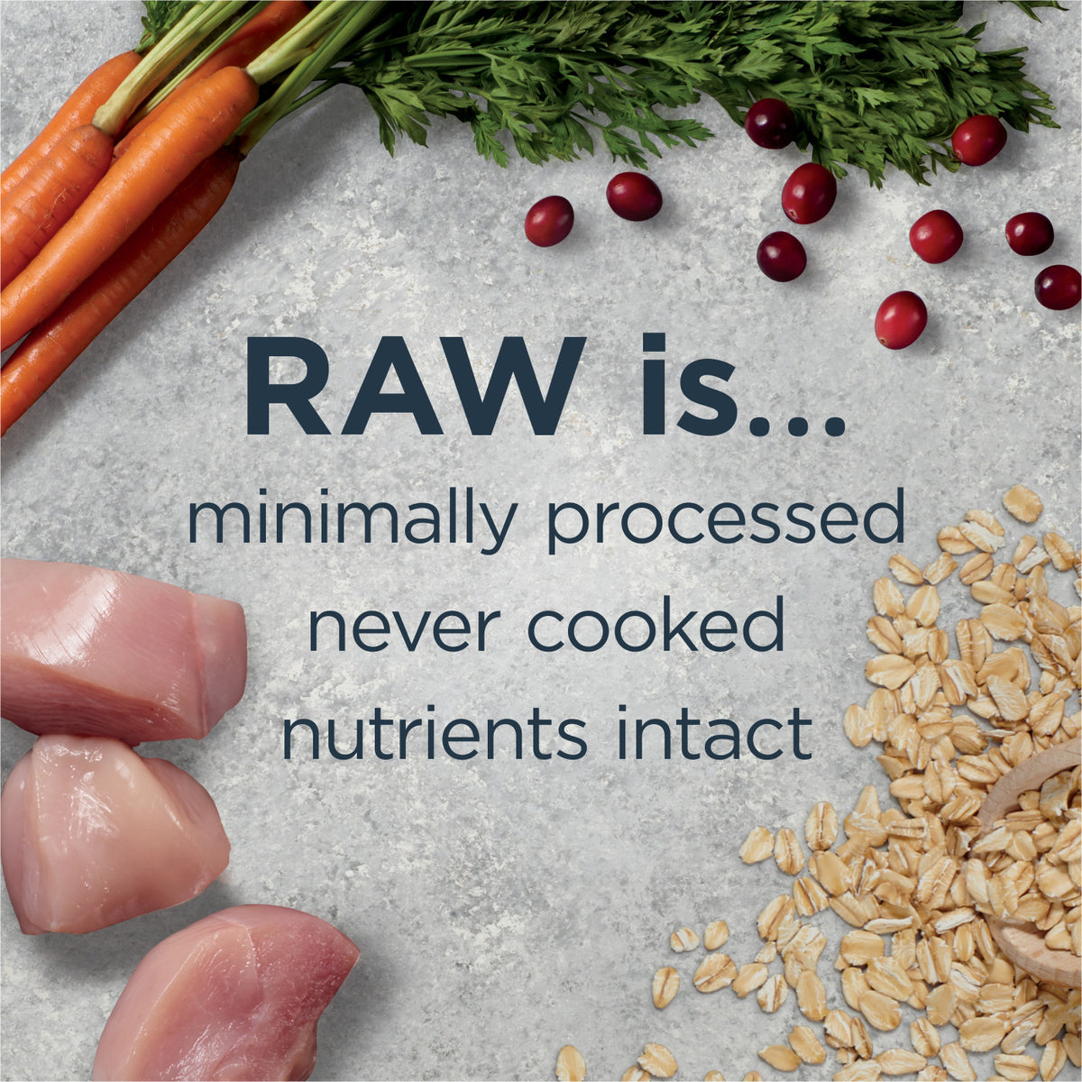 Instinct Raw Boost Whole Grain Real Chicken &amp; Brown Rice Recipe Dry Dog Food