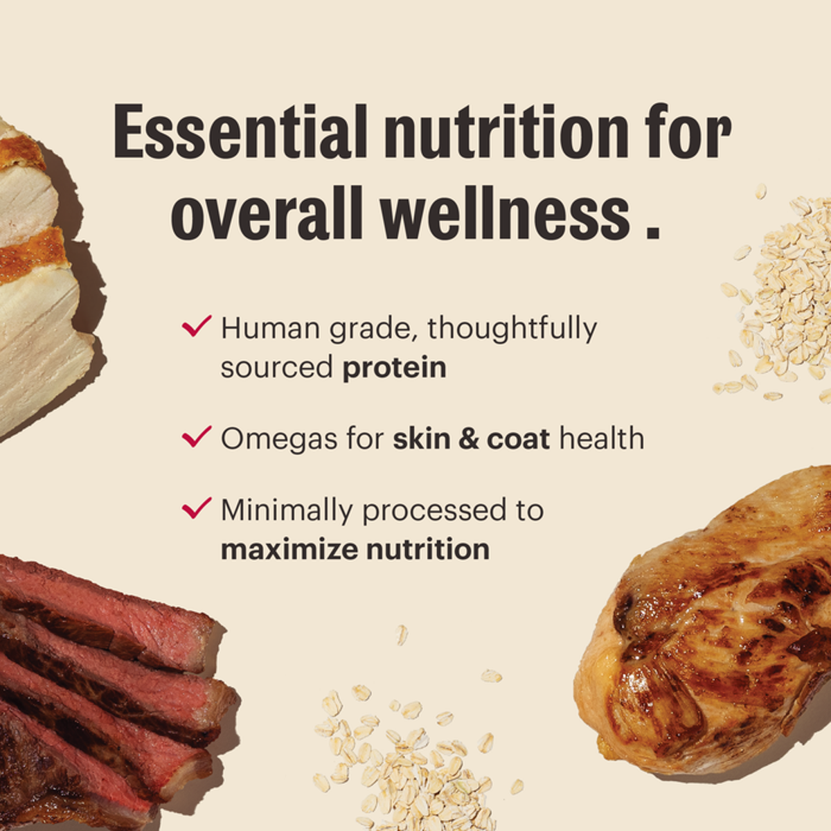 The Honest Kitchen Essential Clusters Whole Grain Beef &amp; Chicken Dog Food