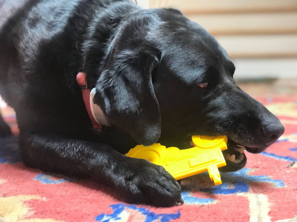 SodaPup ID Tractor  Ultra Durable Nylon Dog Chew Toy