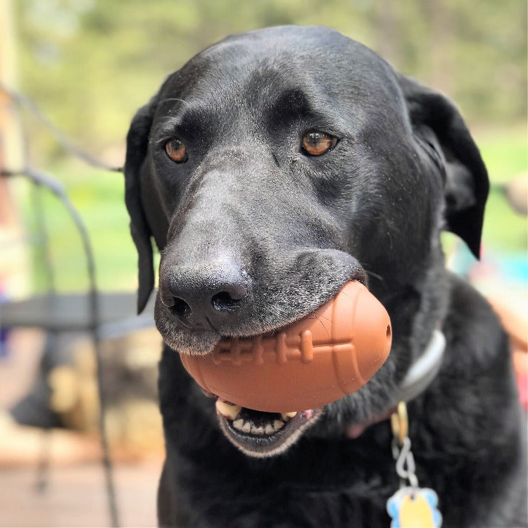 SodaPup Football Durable Rubber Chew Toy and Treat Dispenser