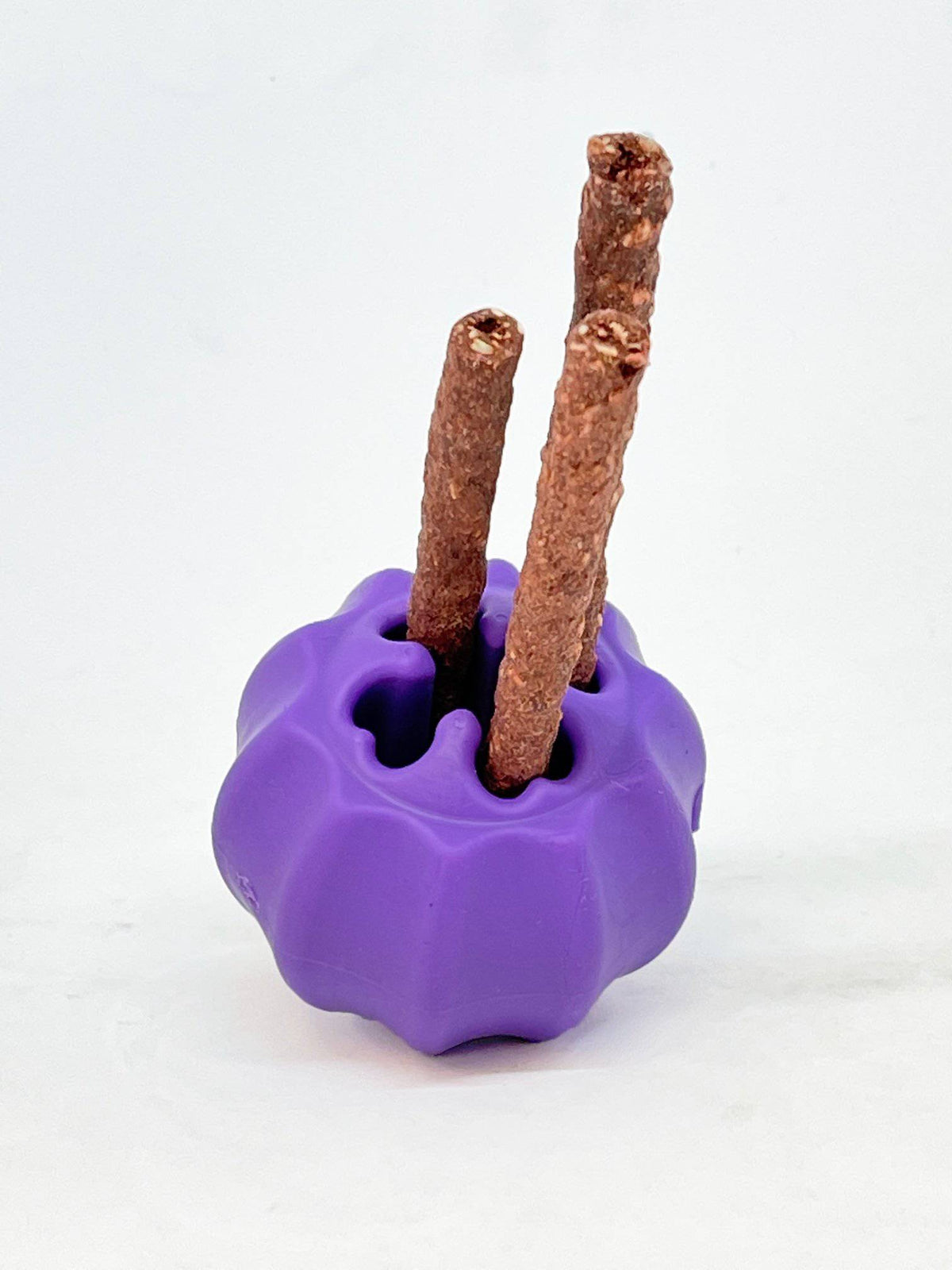 SodaPup Cross Bones Chew Toy and Treat Pocket