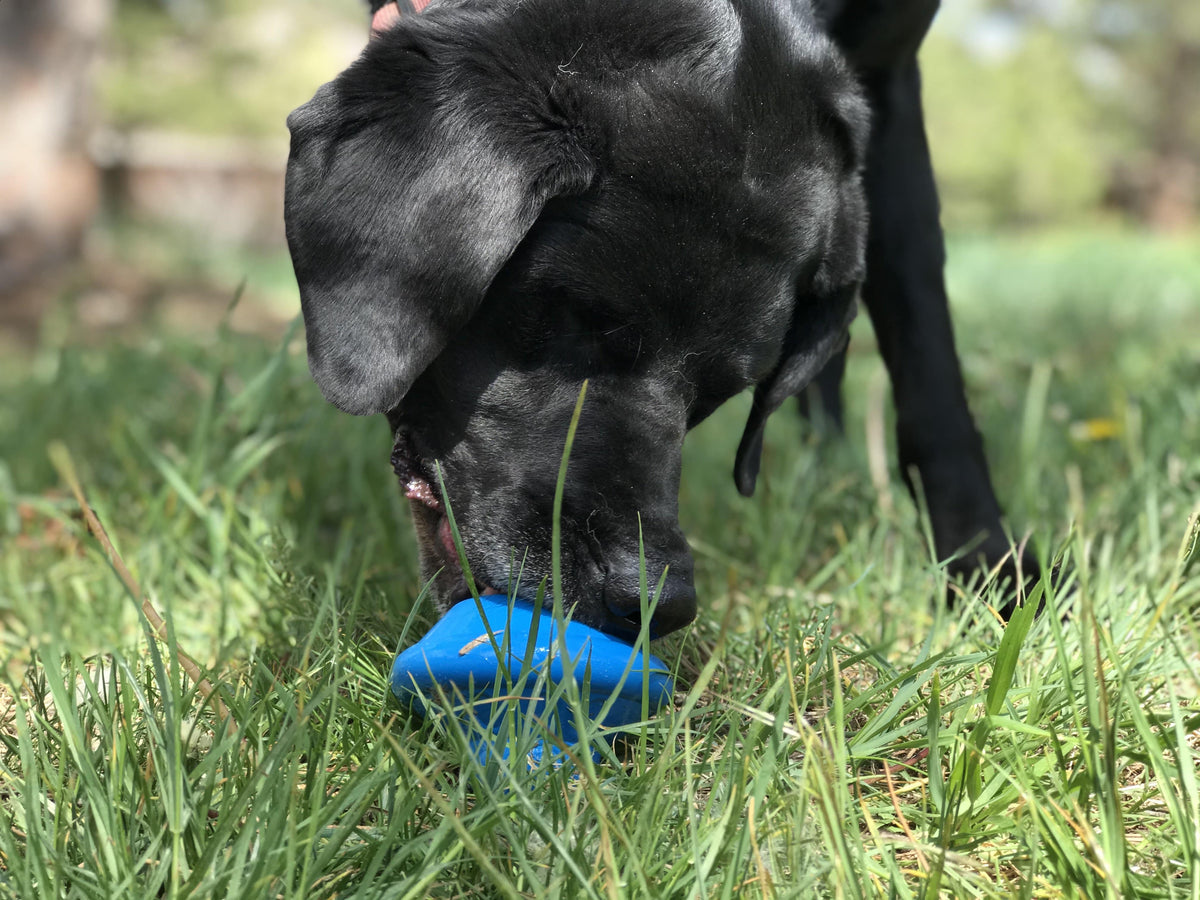 SodaPup Flying Saucer Durable Rubber Chew Toy & Treat Dispenser