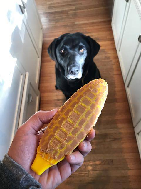 SodaPup Corn on the Cob Ultra Durable Nylon Dog Chew Toy