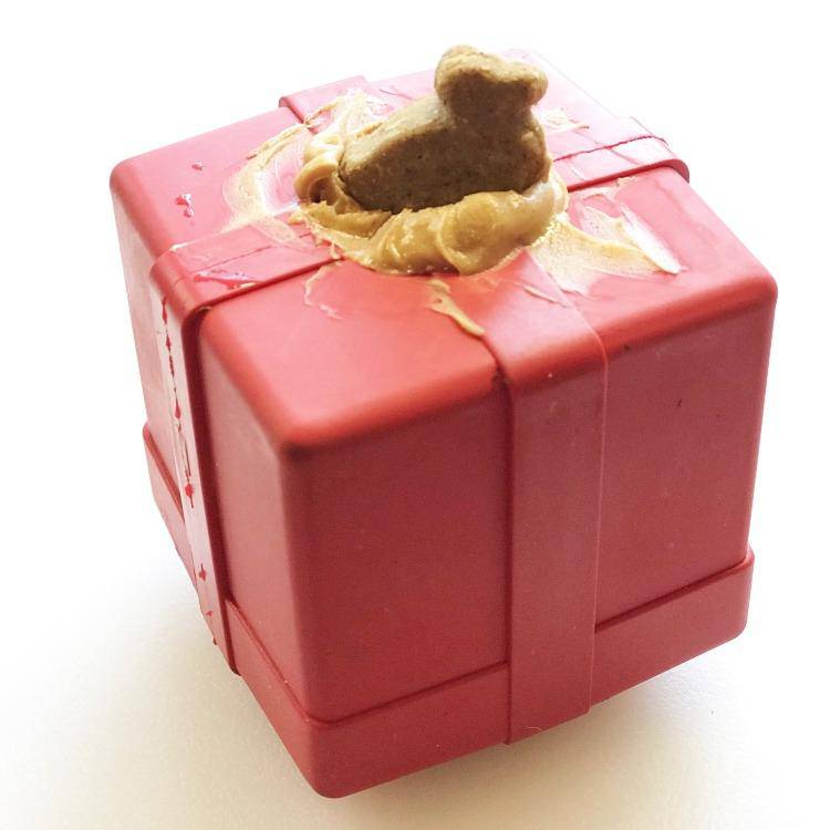 SodaPup Gift Box Durable Rubber Chew Toy & Treat Dispenser