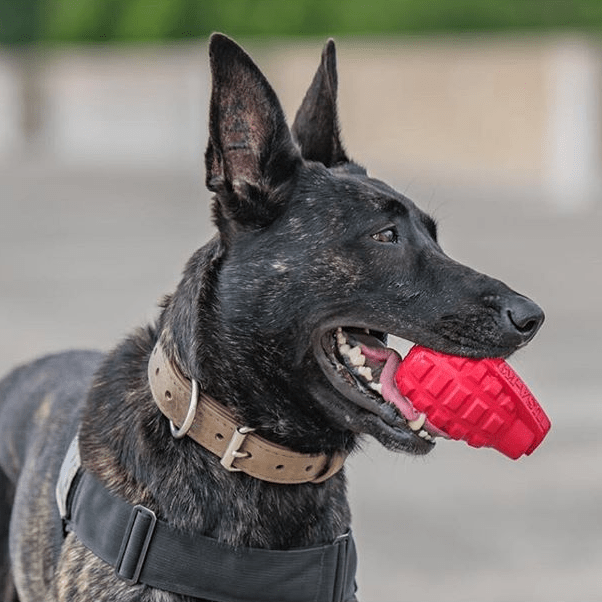 SodaPup  USA-K9 Grenade Durable Rubber Chew Toy & Treat Dispenser