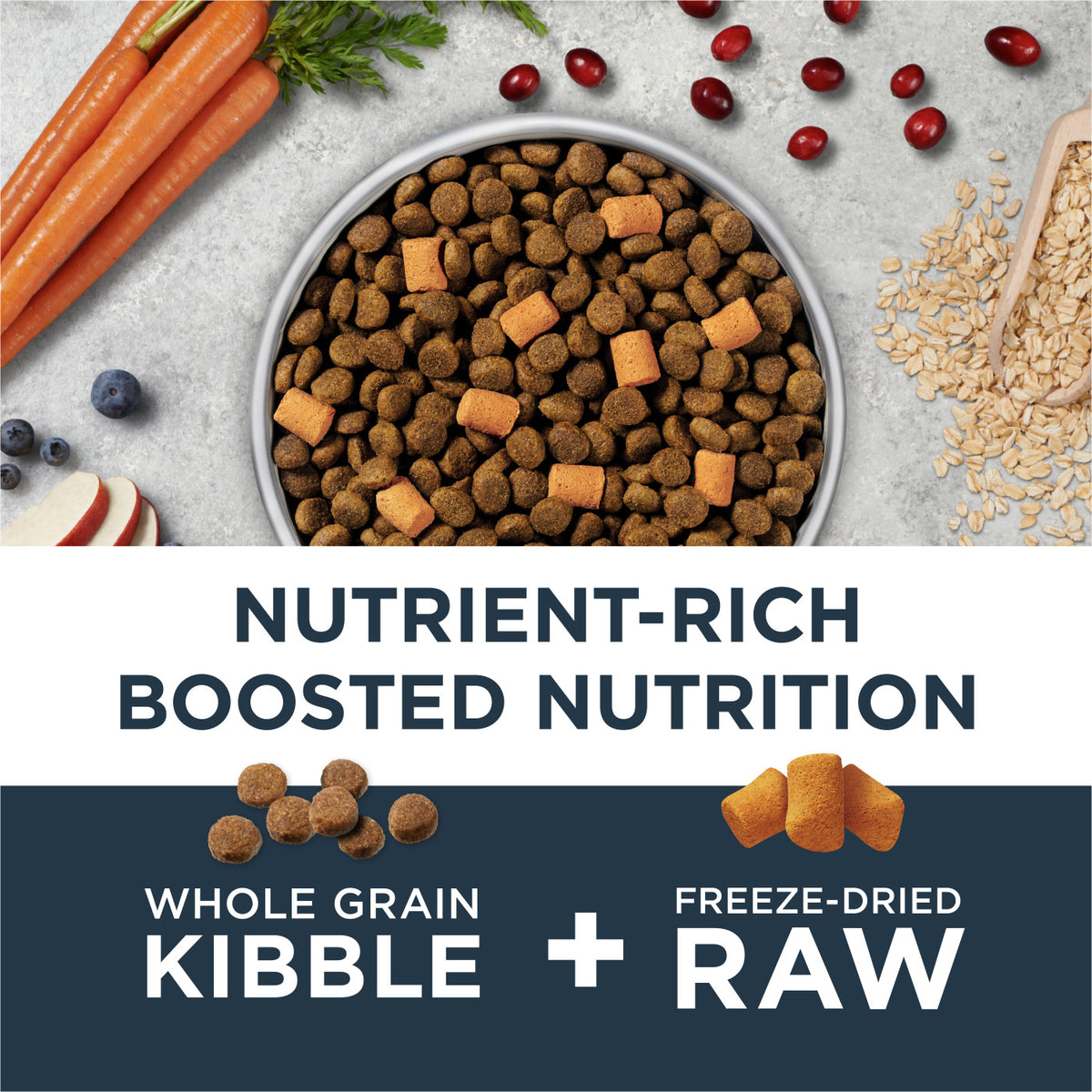 Instinct Raw Boost Whole Grain Gut Health Recipe with Real Chicken Dry Dog Food