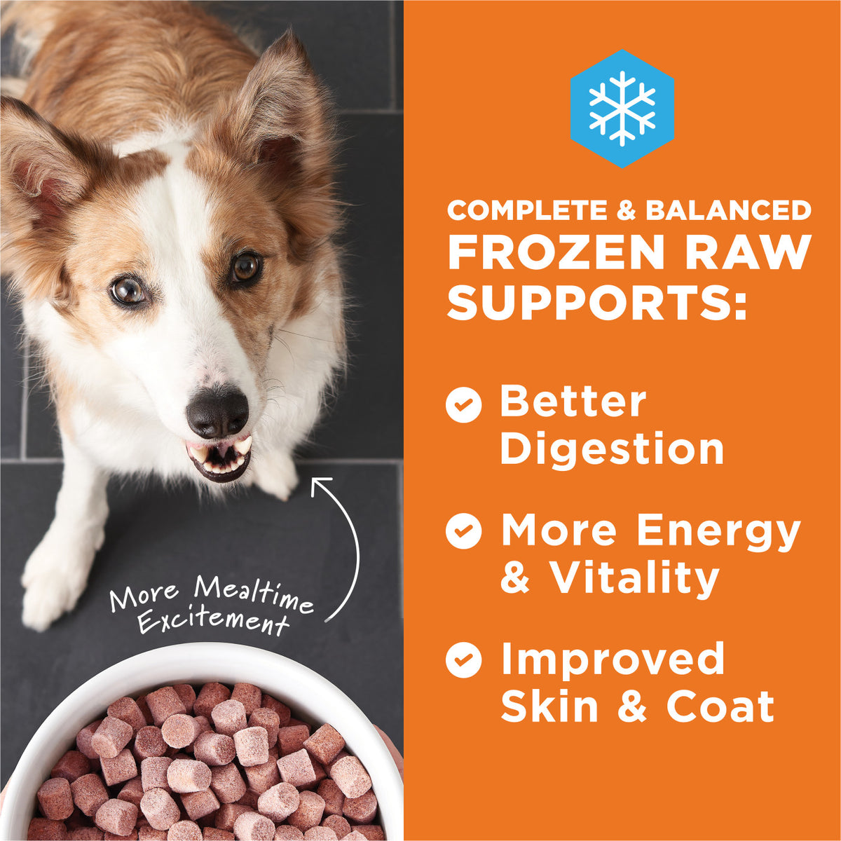 Instinct Frozen Raw Bites Grain-Free Grass-Fed Lamb Recipe Dog Food