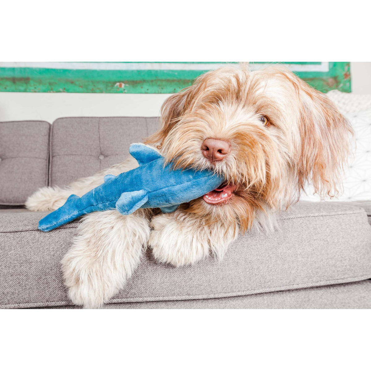 Fluff &amp; Tuff Tank Shark Dog Toy