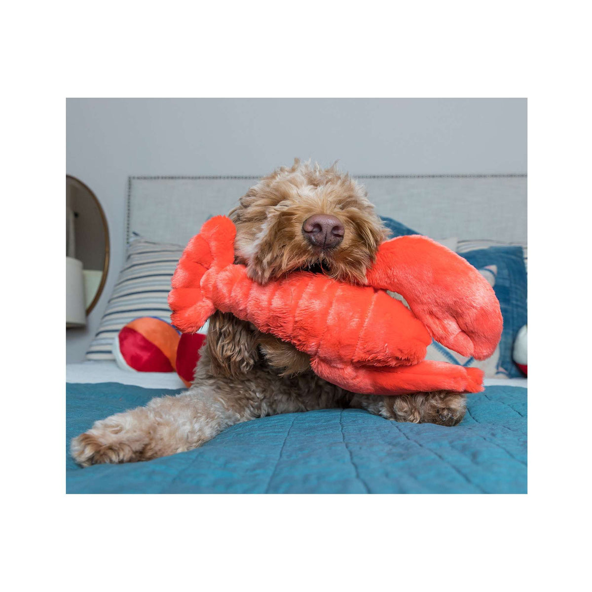 Fluff &amp; Tuff Manny Lobster Dog Toy