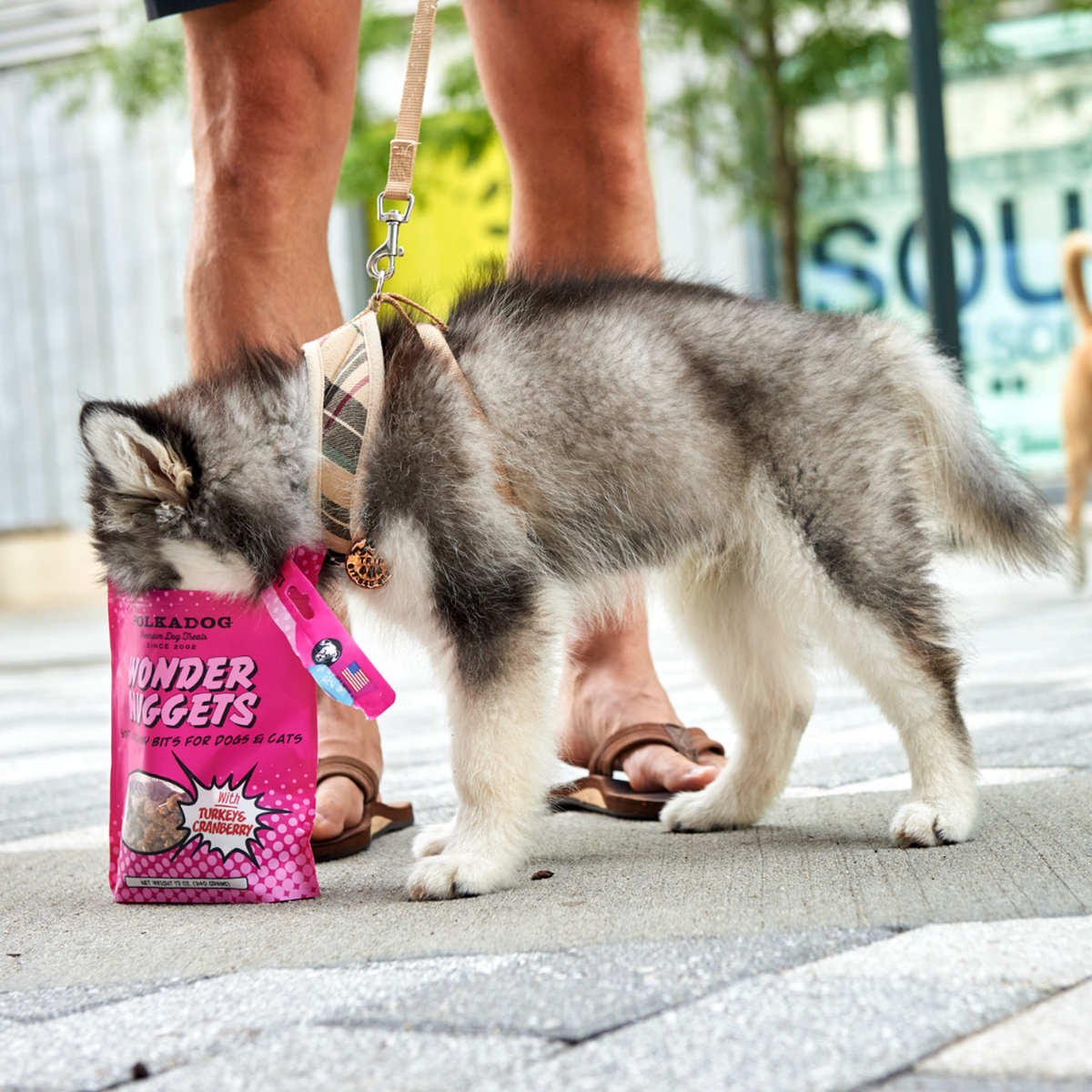 Polkadog Bakery Soft &amp; Chewy Wonder Nuggets Turkey &amp; Cranberry Dog Treats