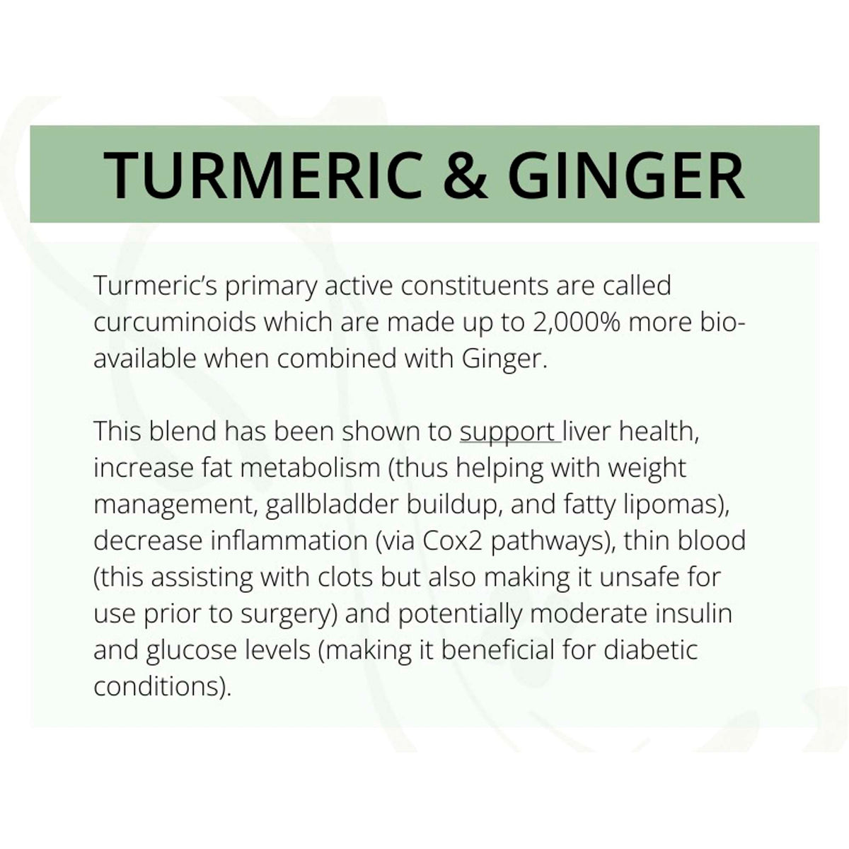 Solutions Pet Products Turmeric &amp; Ginger Supplement for Dogs and Cats
