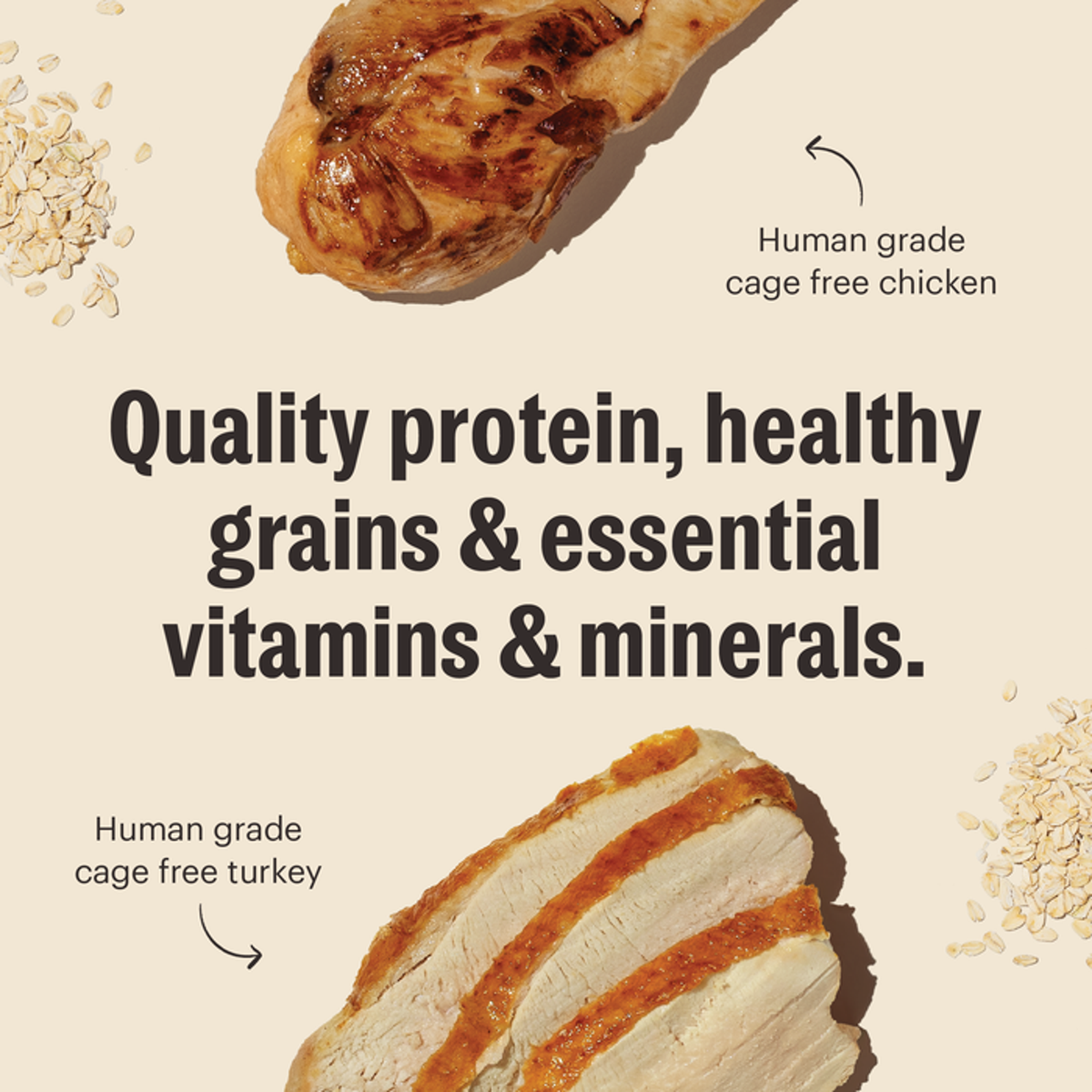 The Honest Kitchen Essential Clusters Whole Grain Beef &amp; Chicken Dog Food