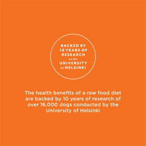 Instinct® Raw Longevity™ Raw Frozen Meals Grass-Fed Beef Recipe for Dogs