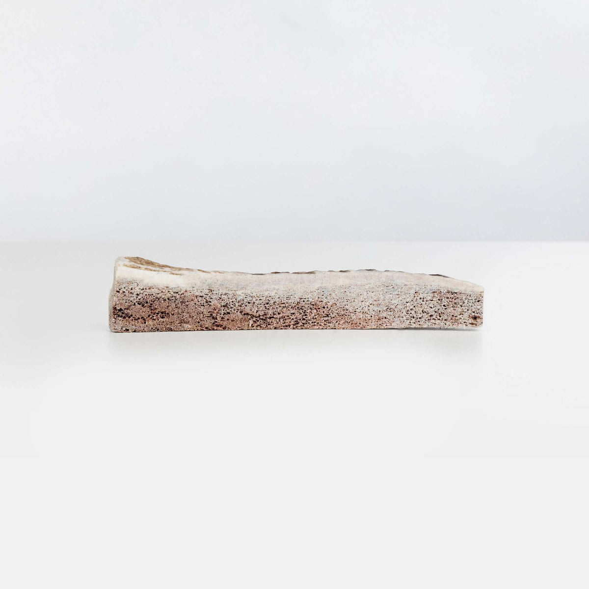 Primal Stag Antler Dog Chew