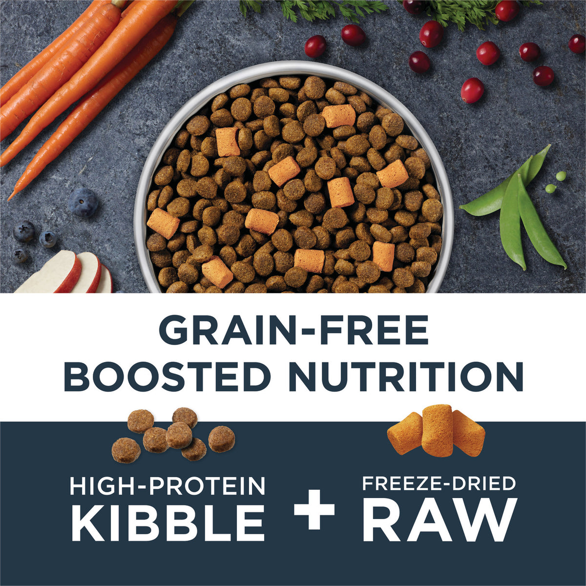 Instinct Raw Boost Gut Health Grain-Free Recipe with Real Chicken Dry Dog Food