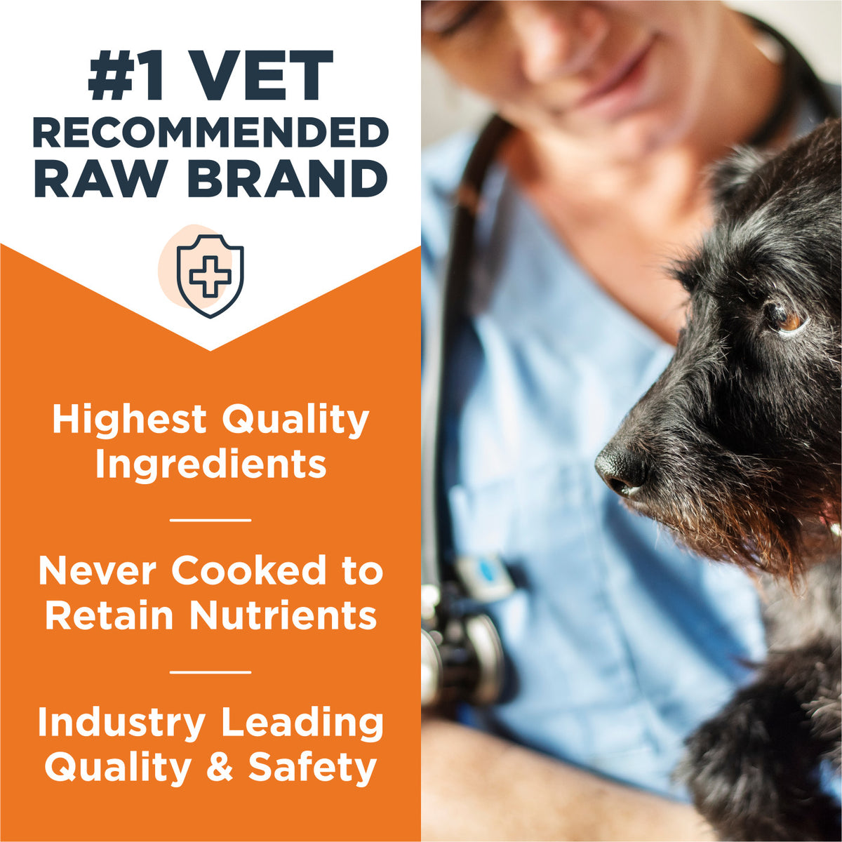 Instinct Frozen Raw Patties Grain-Free Real Beef Recipe Dog Food