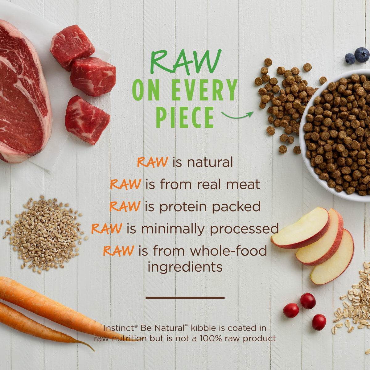 Instinct Be Natural Real Beef &amp; Barley Recipe Dry Dog Food
