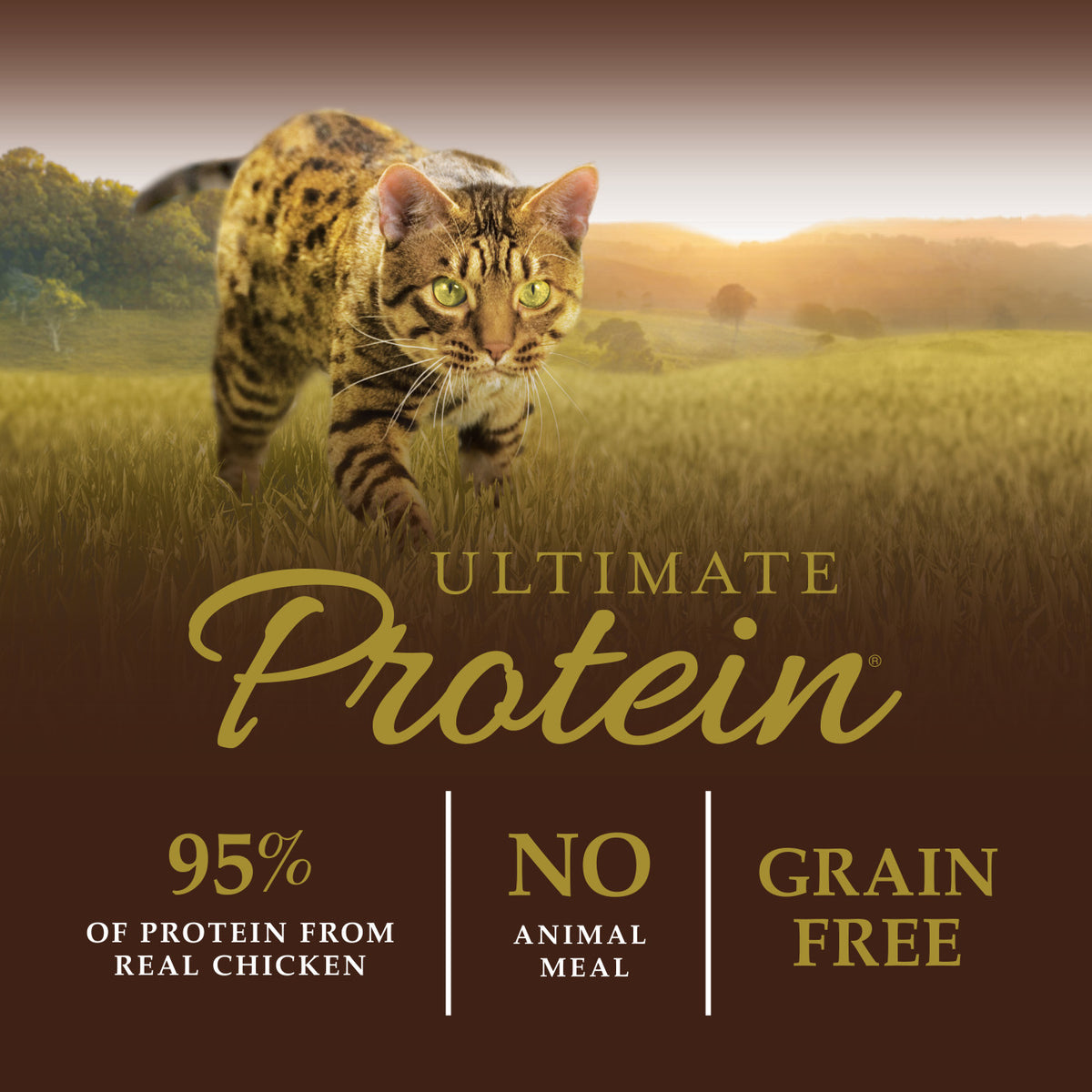 Instinct Ultimate Protein Grain-Free Cage-Free Chicken Recipe Dry Cat Food