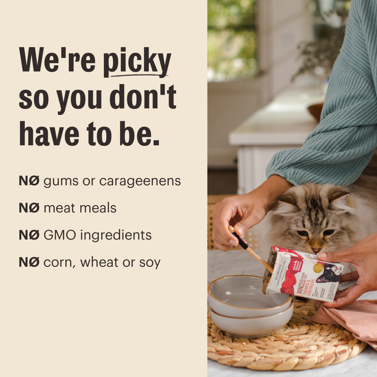 The Honest Kitchen Câté Grain Free Turkey Cat Food