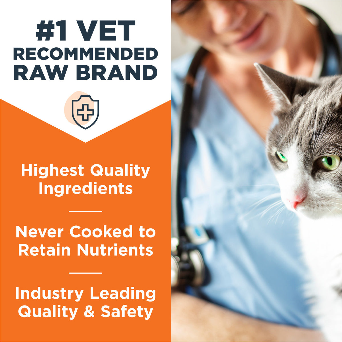 Instinct Frozen Raw Bites Grain-Free Cage-Free Chicken Recipe Cat Food