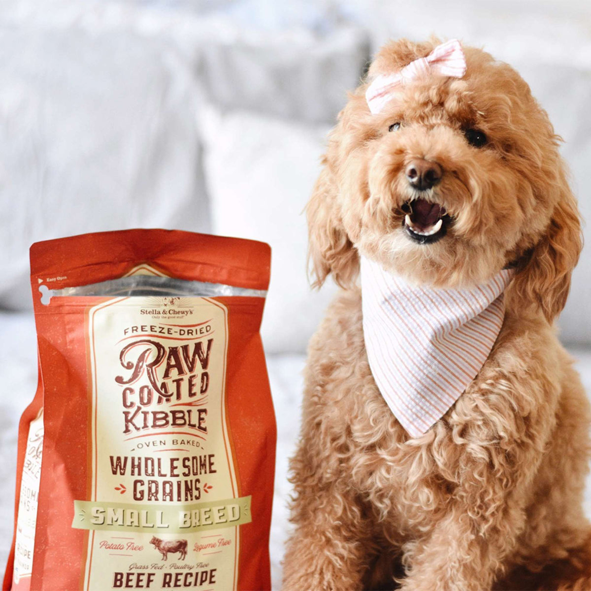 Stella &amp; Chewy&#39;s Kibble Raw Coated Wholesome Grains Beef Small Breed Dog Food
