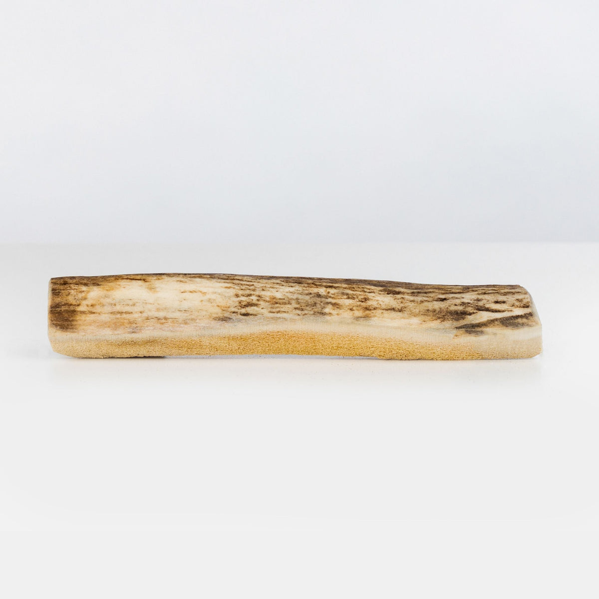 Primal Split Moose Antler Dog Chew