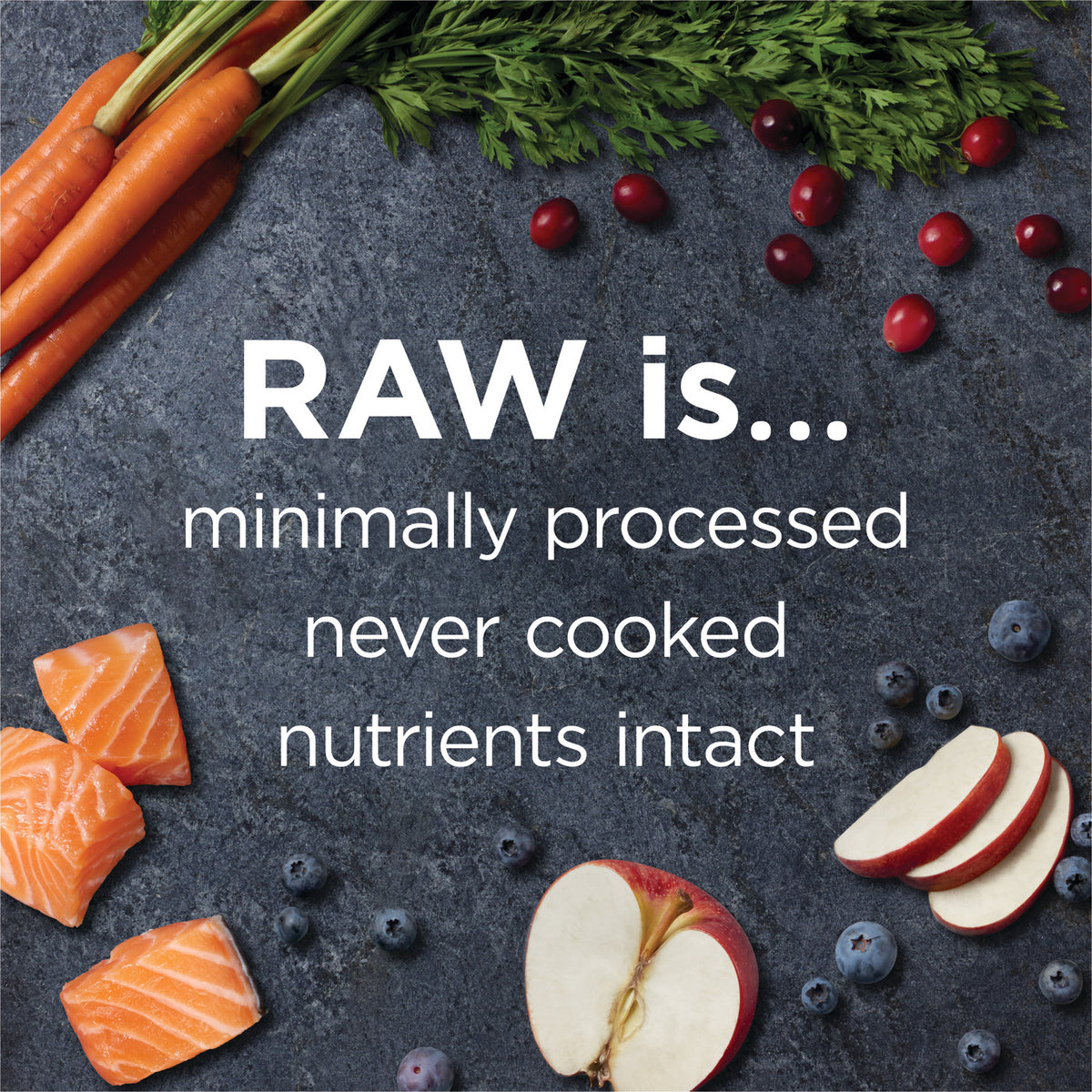 Instinct Raw Boost Grain-Free Recipe with Real Salmon Dry Dog Food