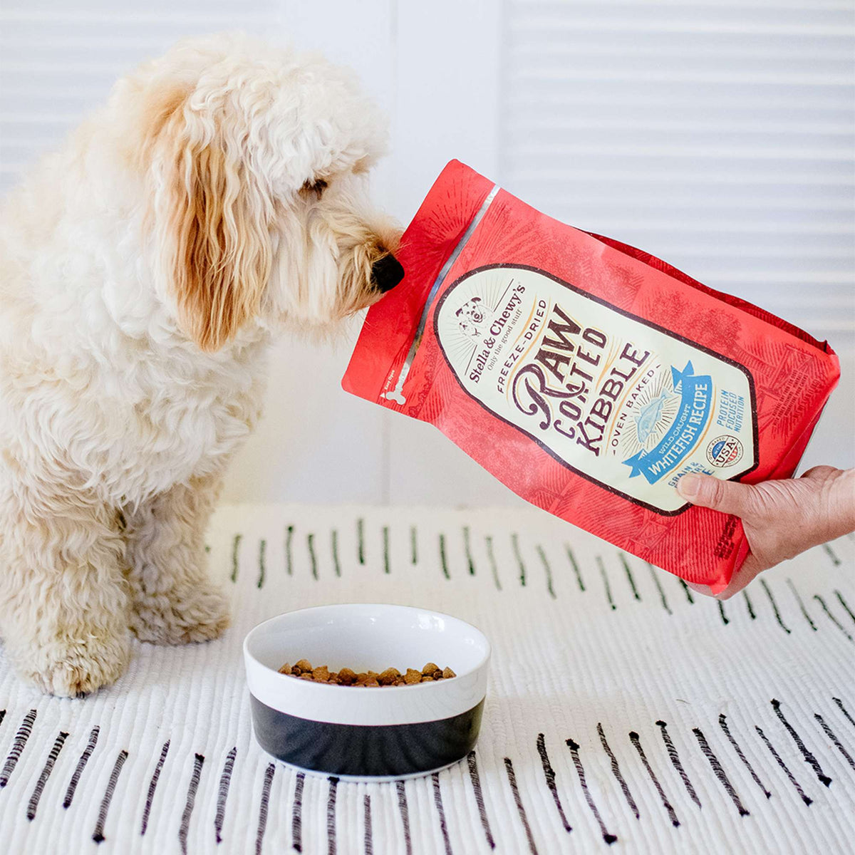 Stella &amp; Chewy&#39;s Kibble Raw Coated Whitefish Dog Food