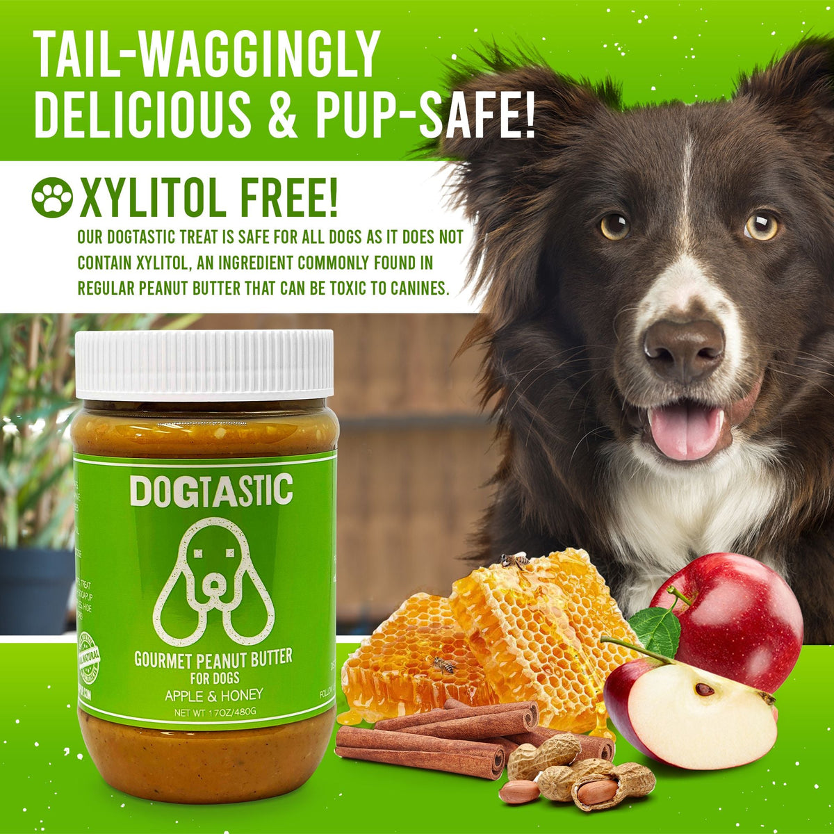 SodaPup Dogtastic Gourmet Peanut Butter for Dogs - Berries & Honey Flavor