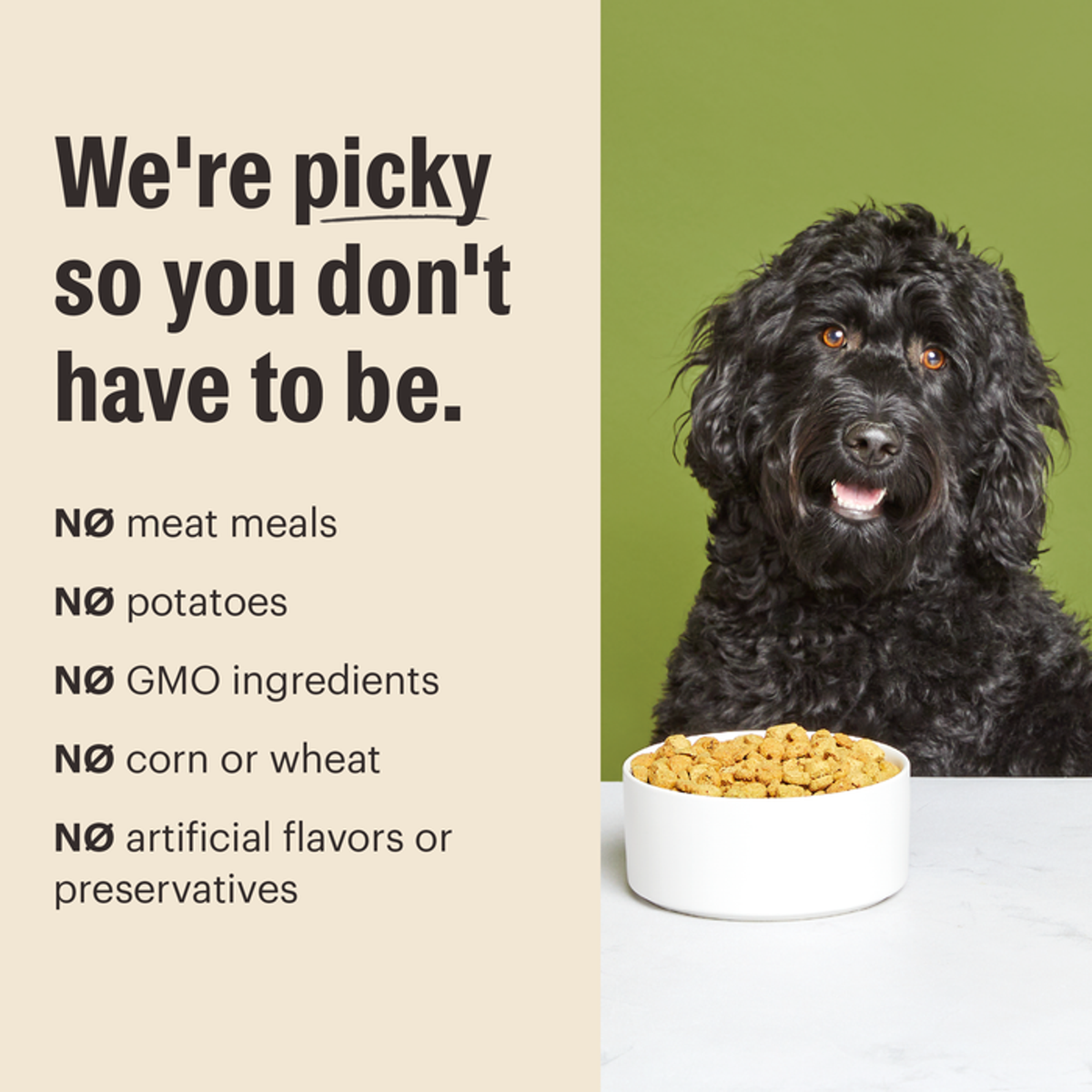 The Honest Kitchen Essential Clusters Whole Grain Beef &amp; Chicken Dog Food