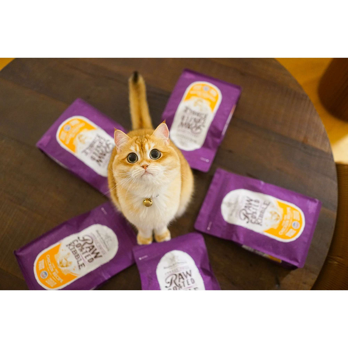 Stella &amp; Chewy&#39;s Kibble Raw Coated Chicken Cat Food