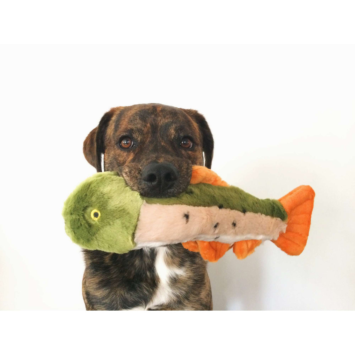 Fluff &amp; Tuff Ruby Rainbow Trout Dog Toy