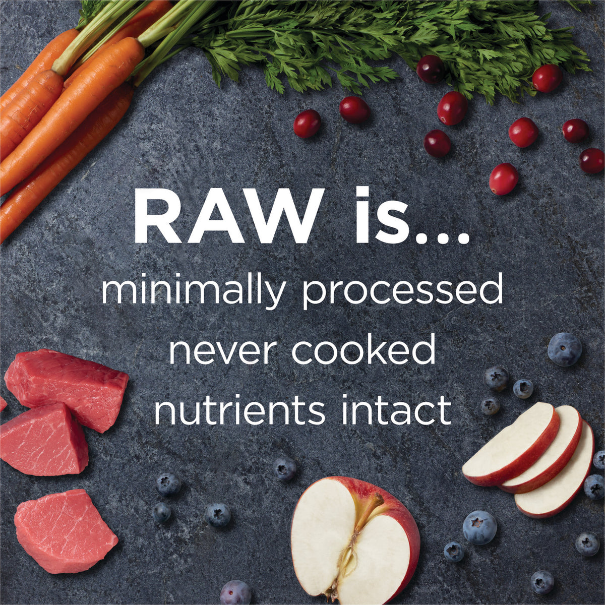 Instinct Raw Boost Grain-Free Recipe with Real Beef Dry Dog Food